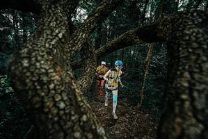 BIB: 
                            <button type="button" onclick="openModal(25685867)" class="btn btn-primary btn-sm float-right btn-popup" data-toggle="modal" data-target=".modal-high-quality">
                        <i class="fas fa-shopping-cart"></i> Add to Cart
                    </button>
                                            <button type="button" onclick="isThisMe(25685867, true)" class="btn btn-success btn-sm float-right btn-popup btn-isme hidden" data-toggle="tooltip" data-placement="bottom" title="นี่คือรูปของคุณใช่ไหม คลิกที่นี่เพื่อเอาเข้าอัลบั้ม">
                        <i class="fas fa-plus"></i> Add to album
                    </button>
                    <button type="button" onclick="isThisMe(25685867, false)" class="btn btn-warning btn-sm float-right btn-popup btn-isnotme hidden">
                        <i class="fas fa-ban"></i> Remove from album
                    </button>